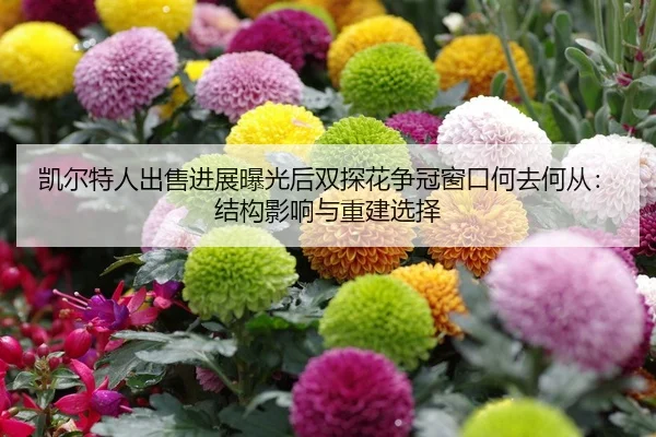 kai-er-te-ren-chu-shou-jin-zhan-bao-guang-hou-shuang-tan-hua-zheng-guan-chuang-kou-he-qu-he-cong-jie-gou-ying-xiang-yu-2-316.jpg